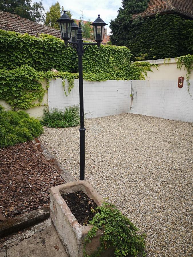 Appart 4 Pers Design Et Cosy Avec Jardin Au Coeur De Selestat Ngoại thất bức ảnh